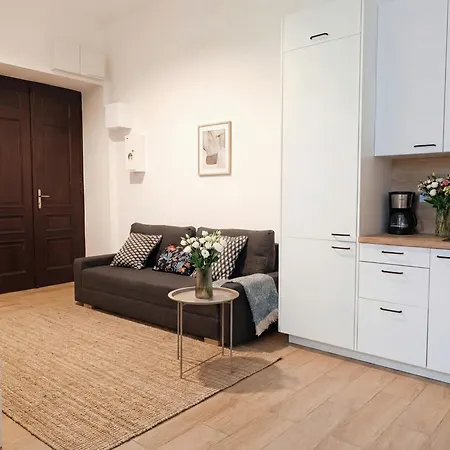 Luxury Design On Poznanska Street In The Center Of Apartment *