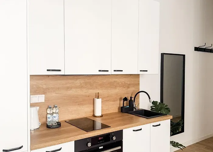 Luxury Design On Poznanska Street In The Center Of Apartment Warschau